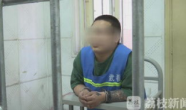 胸交视频,亲密互动中的情感与技巧